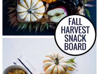 Fall Harvest Snack Board, a pickable platter of roasted pumpkin, acorn squash and autumn chestnuts with dried apple chips, pomegranate and cranberries.