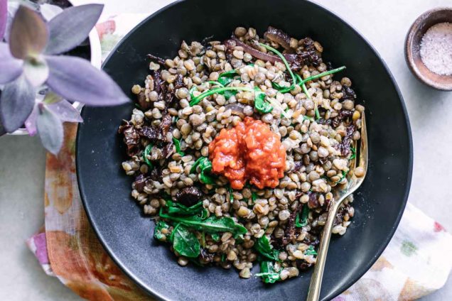 Harissa Lentil and Farro Bowl ⋆ Only 30 Minutes + 6 Ingredients!