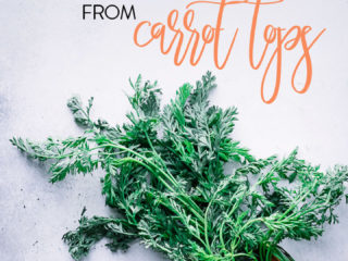 carrots with long greens on a blue table with the words "how to make pesto and chimichurri from carrot tops"