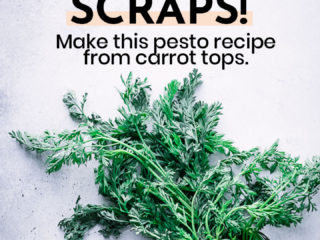 carrots with green carrot tops on a grey table and the words "save those scraps! make this pesto recipe from carrot tops" in black writing