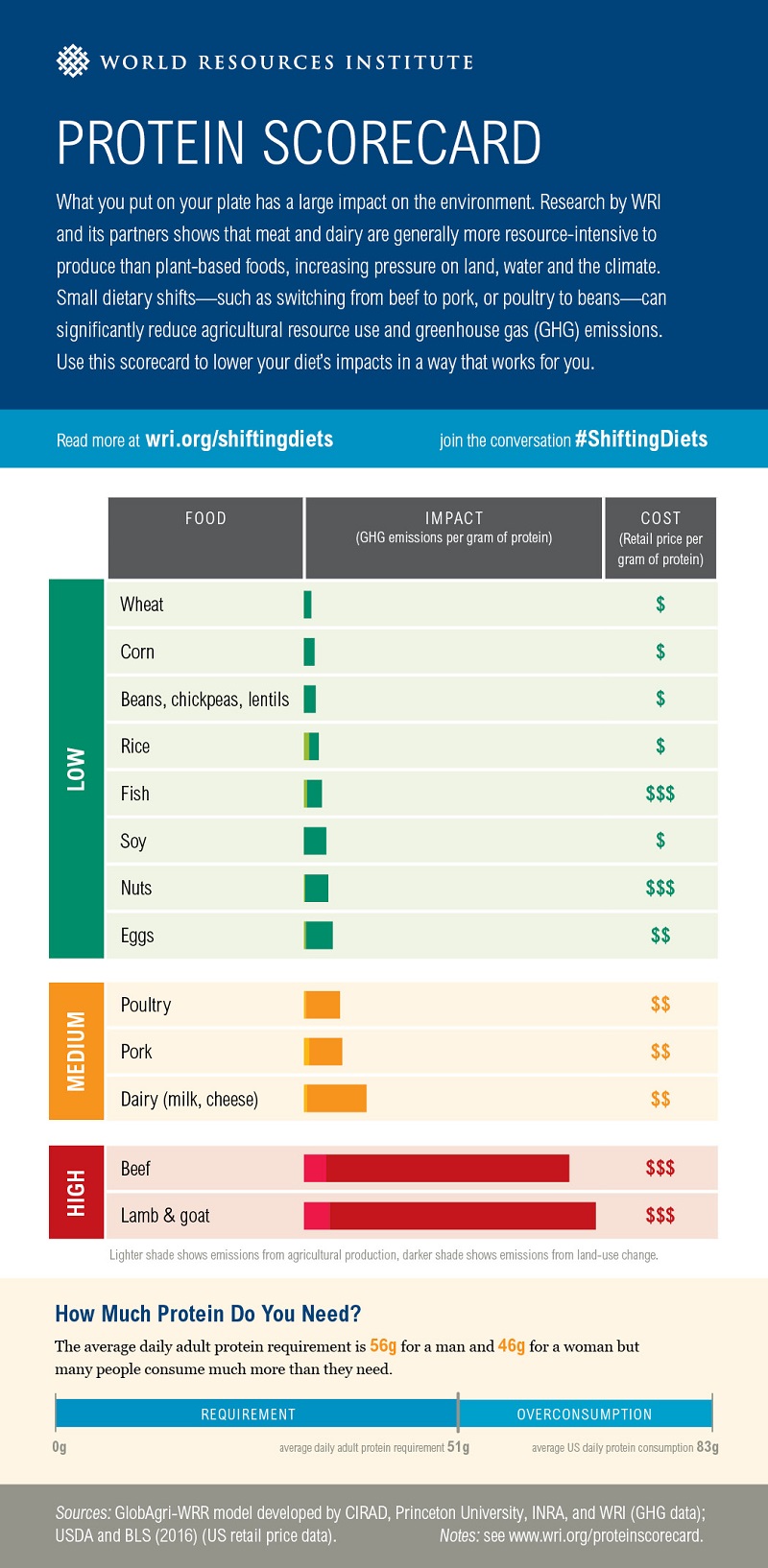 protein emissions chart showing emissions from animal and plant foods