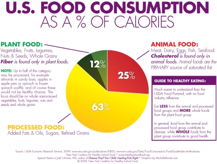 New York Coalition for Healthy School food chart of United States food consumption by calories