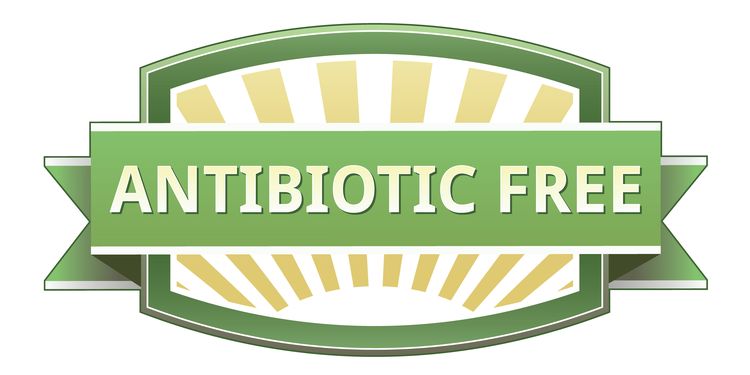 antibiotic free food label