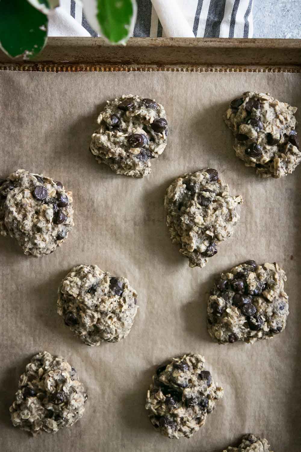 vegan oatmeal chocolate chip cookies on a cookie sheet after baking