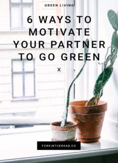 two cacti in ceramic pots on a window sill with the words "6 ways to motivate your partner to go green" in black writing