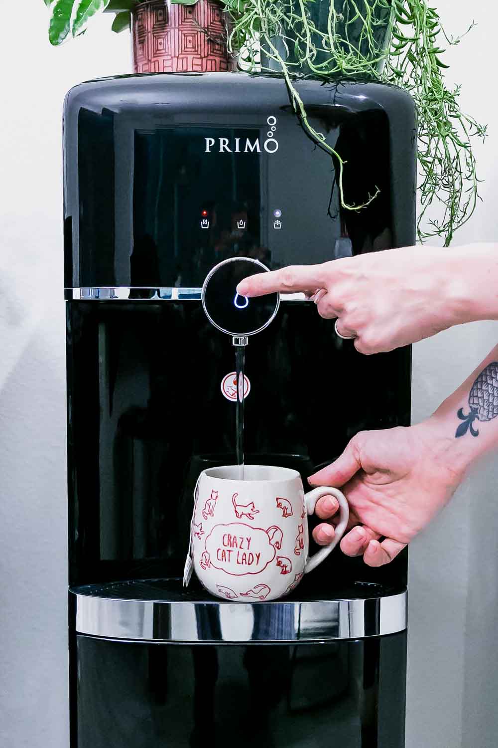 How Primo’s Refillable Water Dispenser Reduced Our Kitchen’s Plastic Waste