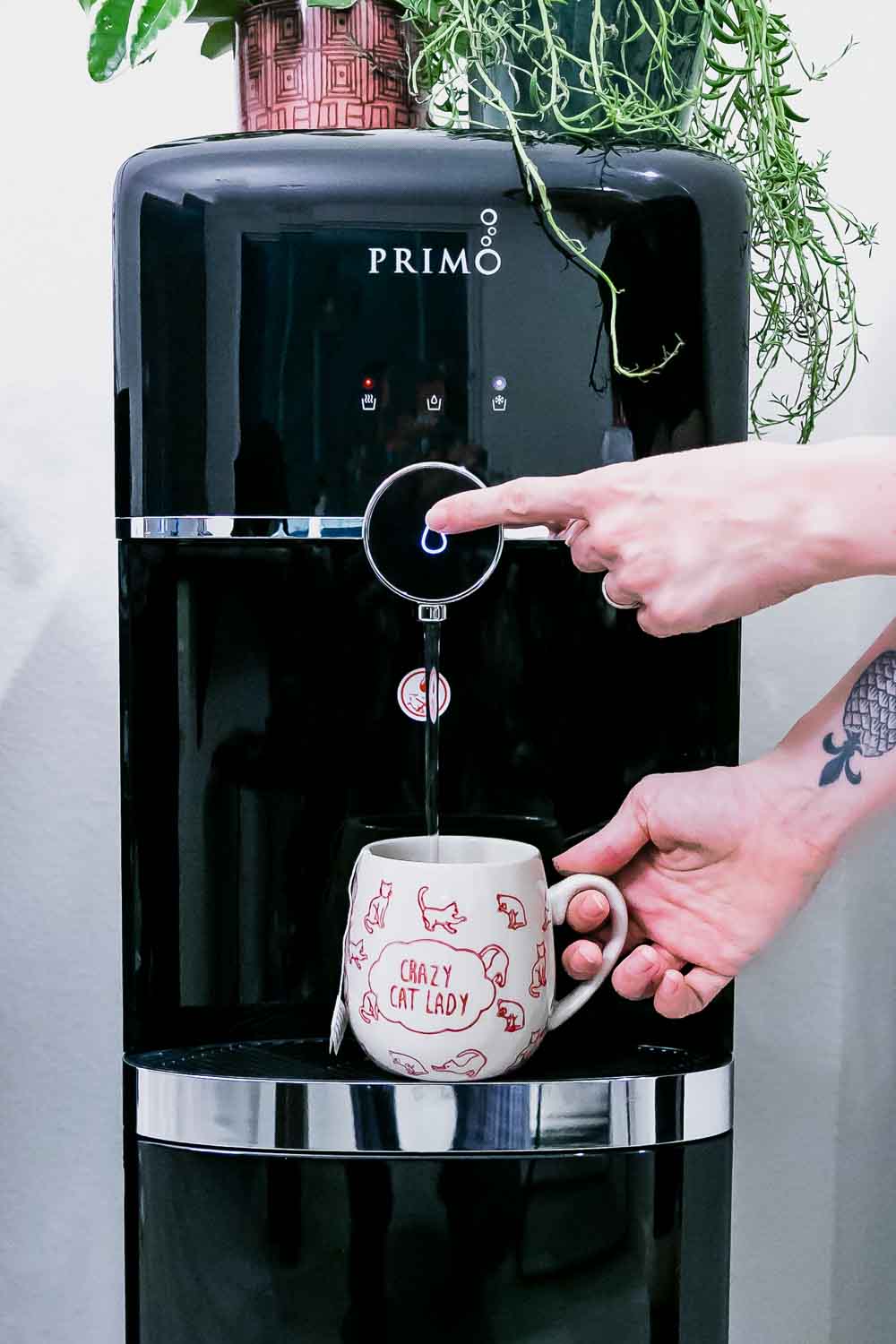 two hands dispensing water into a coffee cup from a Primo water dispenser