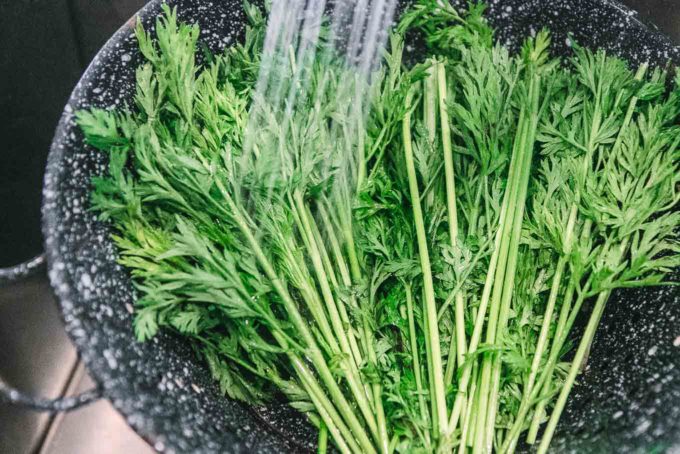 cut carrot greens in a colander with running water