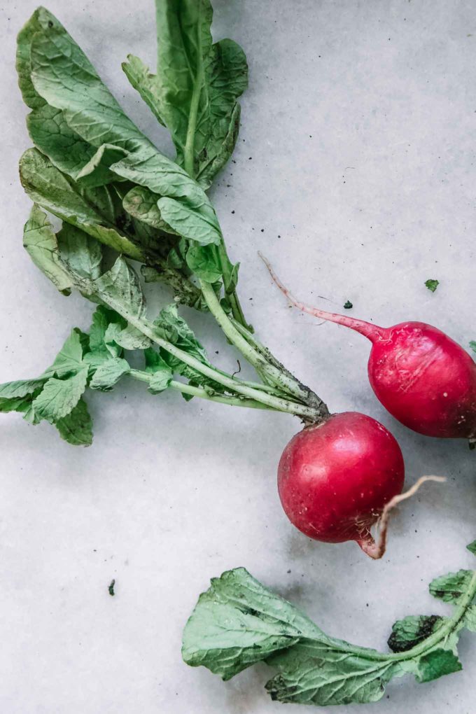 a red radish with large green leaves on a white table