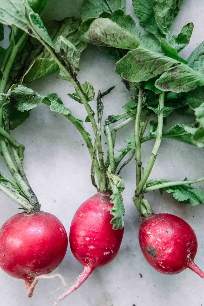 dirty radishes and radish leaves on a white table