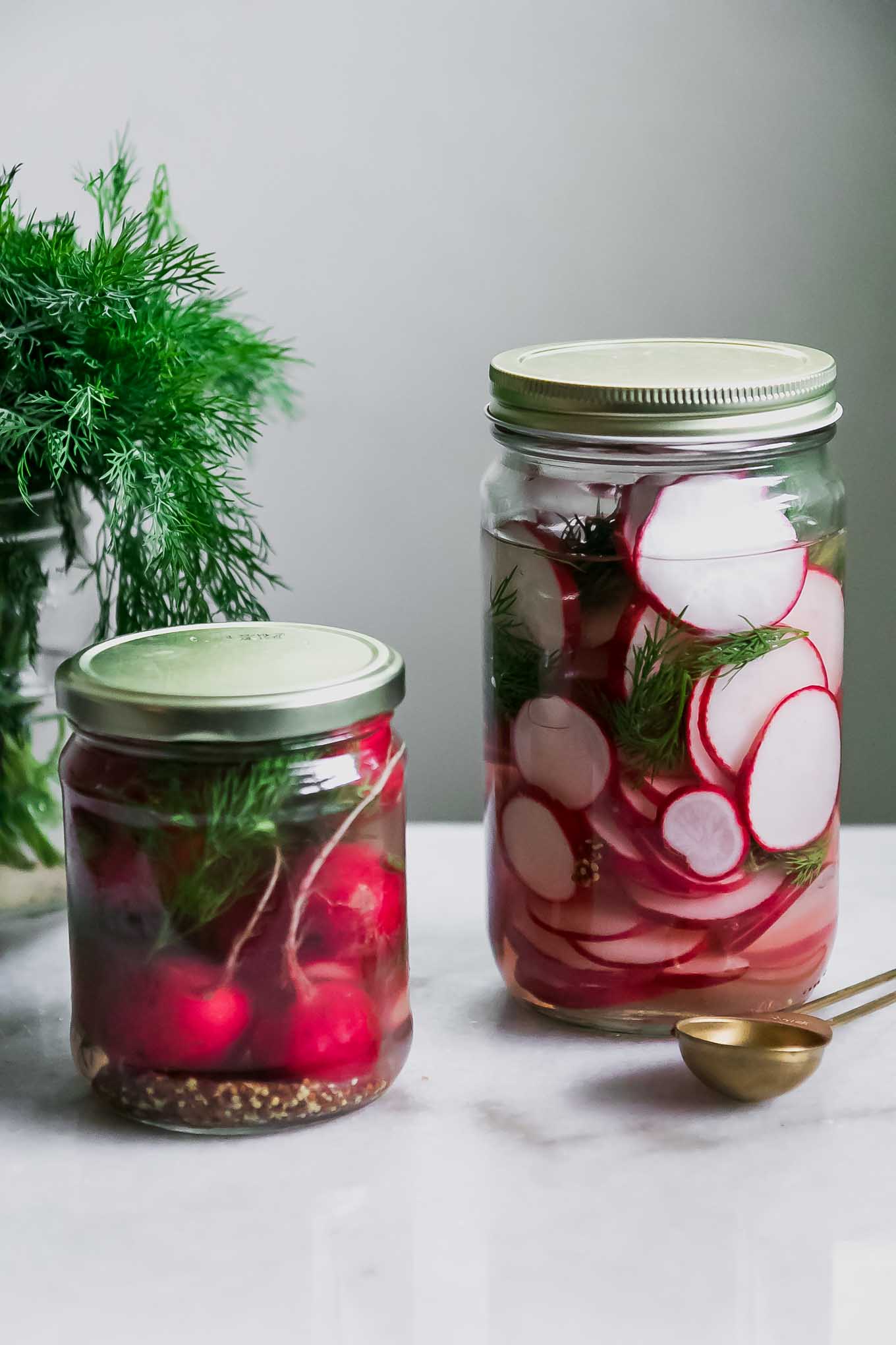 two jars of sliced and whole pickled radishes on a white table with fresh dill