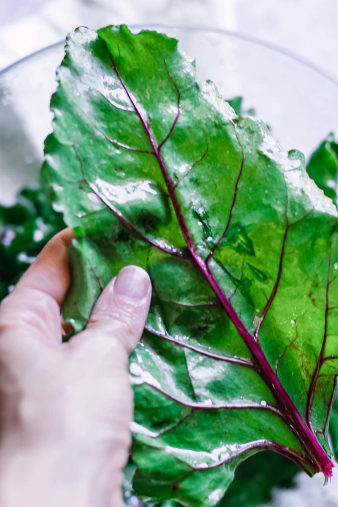 a hand massaging oil onto beet leaves