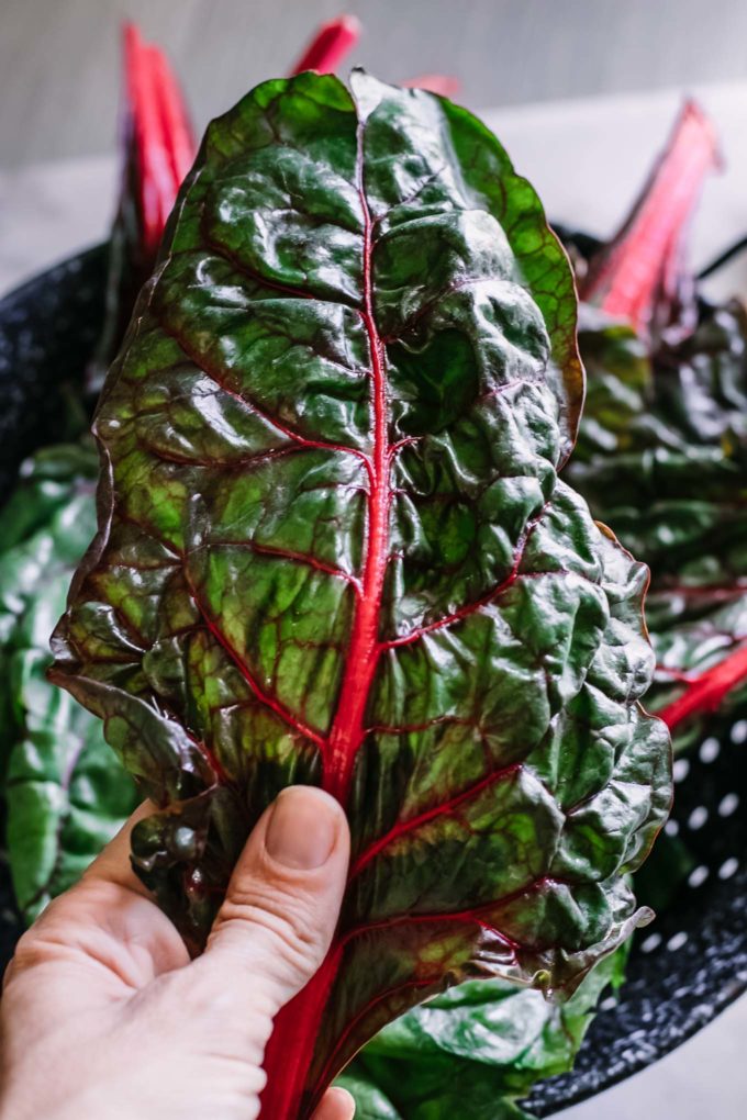 a hand massaging olive oil onto chard leaves