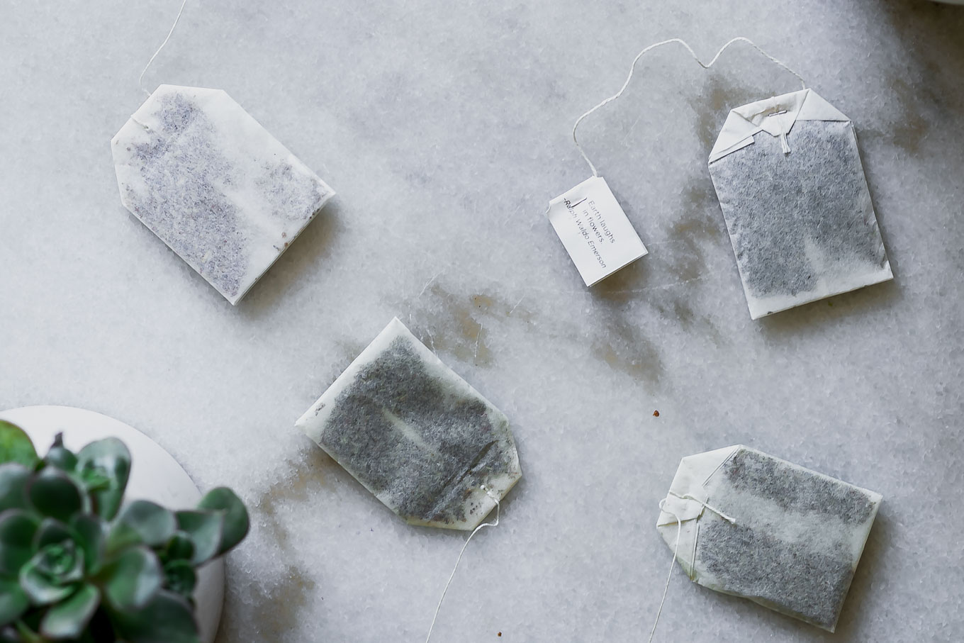 How to Brew Aerated Compost Tea (& 5 Reasons Why You Should)
