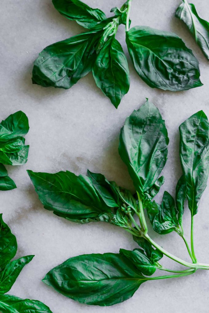 basil leaves on a white marble tabletop