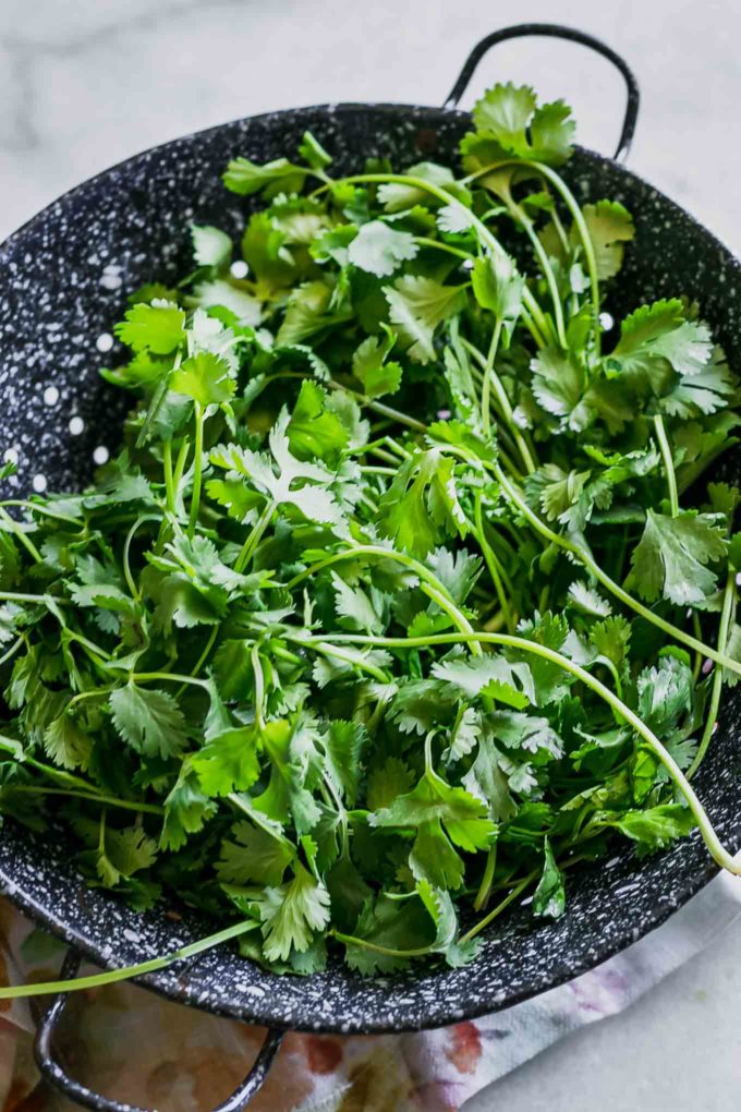 cilantro in a blue colander on a white table