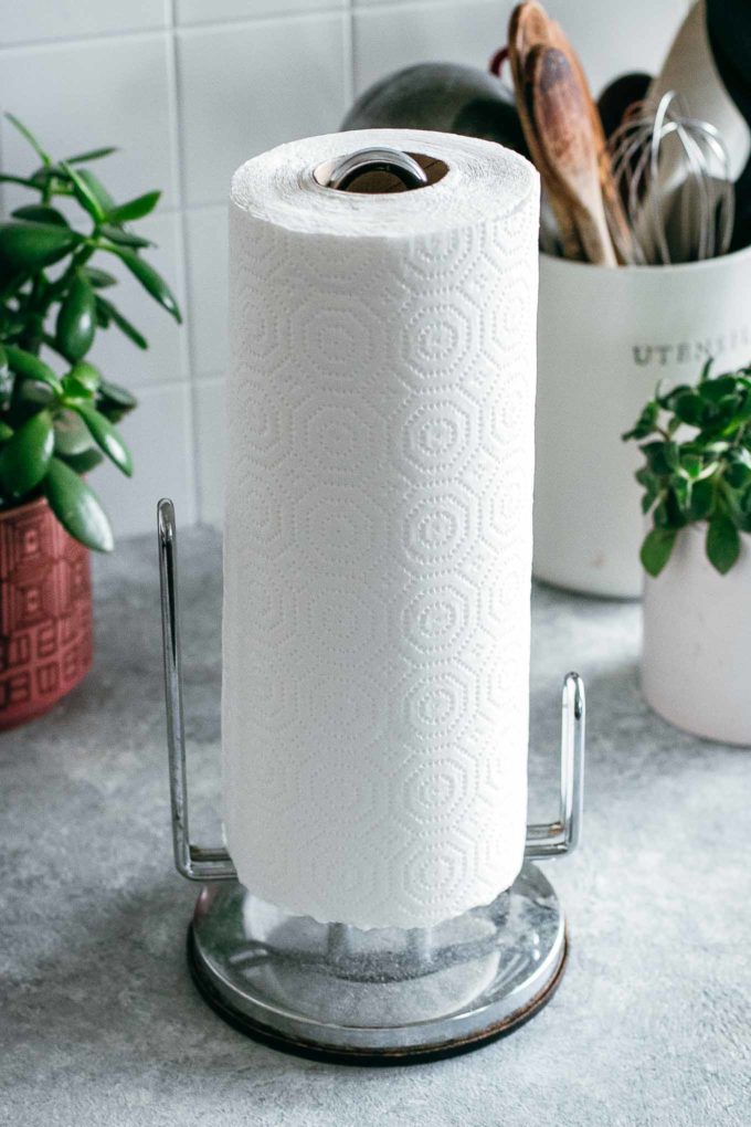 paper towel holder with a roll of paper towels, on a countertop with green plants