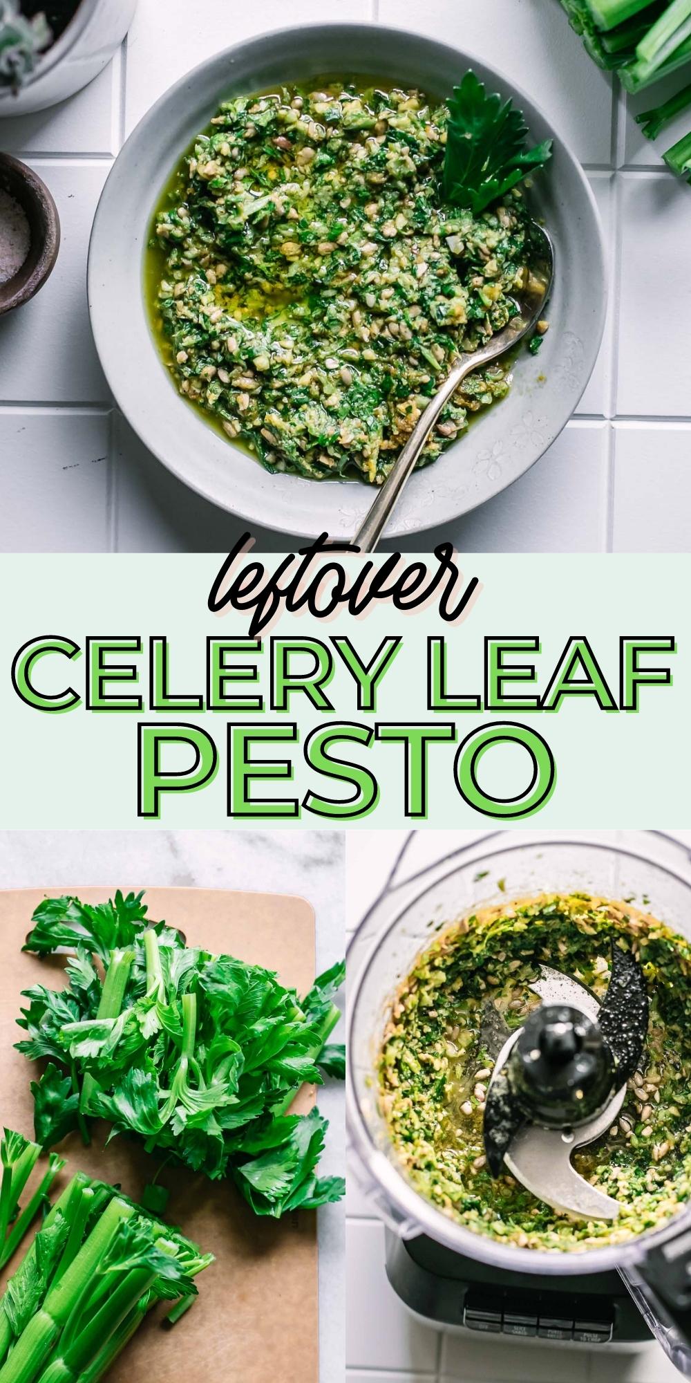 Leftover Celery Leaf Pesto Make Pesto from Leftover Celery Leaves!
