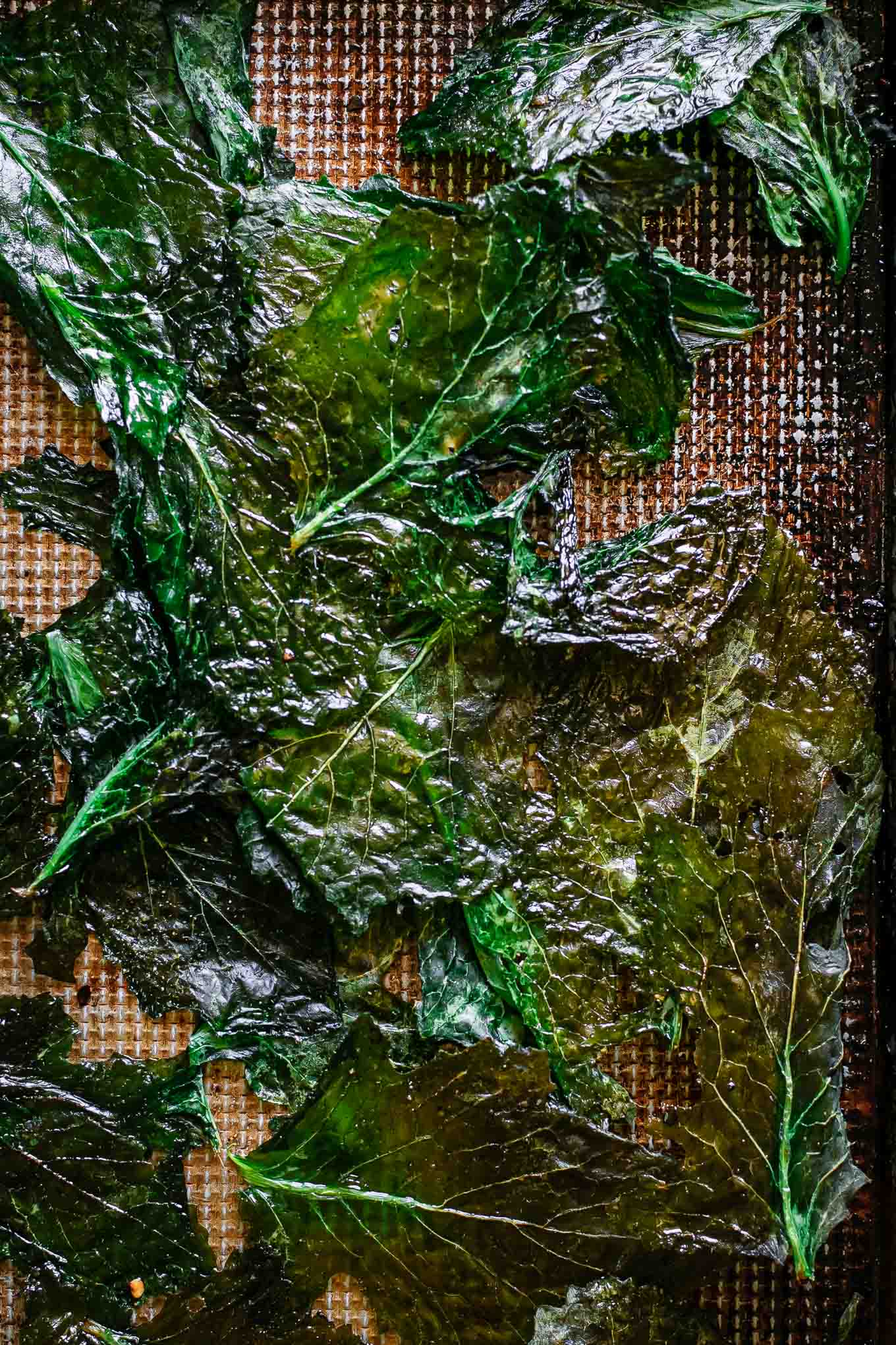 baked turnip greens on a roasting pan