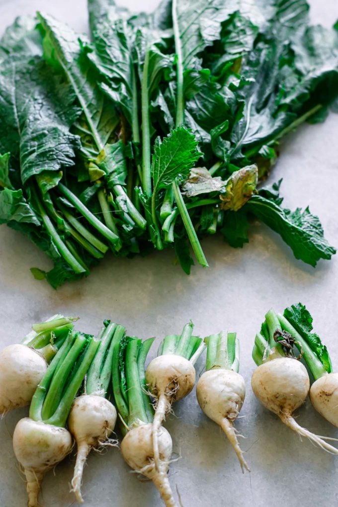 a view of turnip greens that have been cut from the bulbs