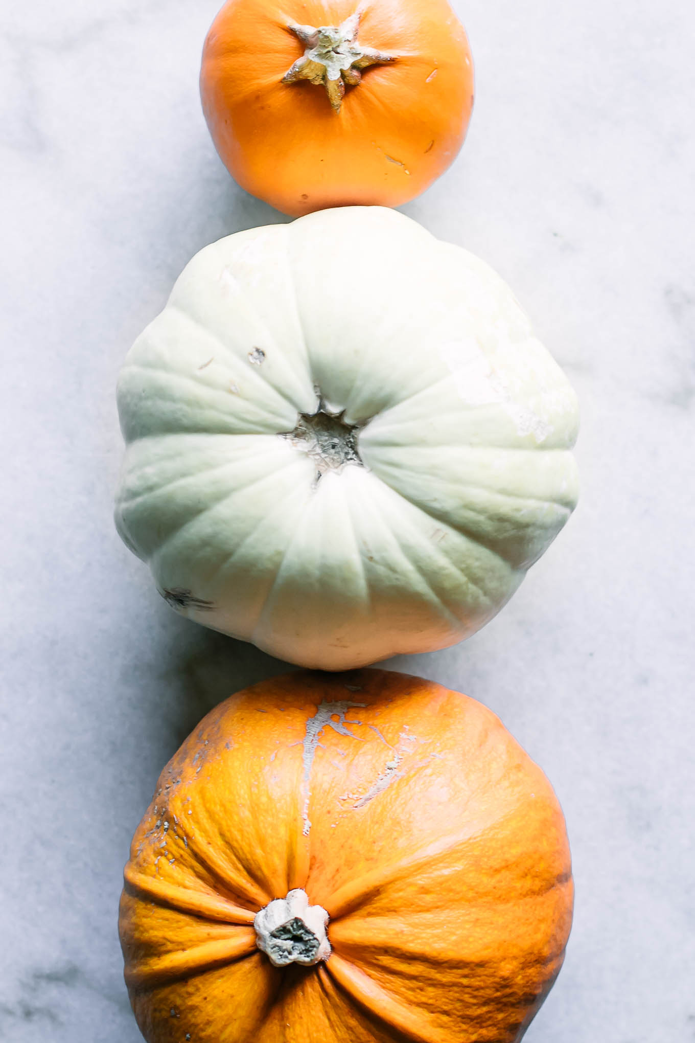 How to compost a whole pumpkin ??? 5Step Guide to Compost Pumpkins