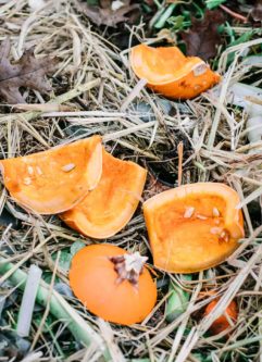pieces of a pumpkin among leaves grass and other compost