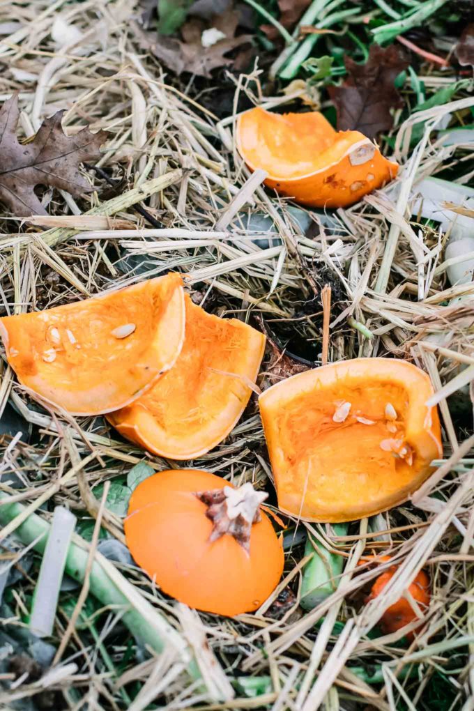 pieces of a pumpkin among leaves grass and other compost