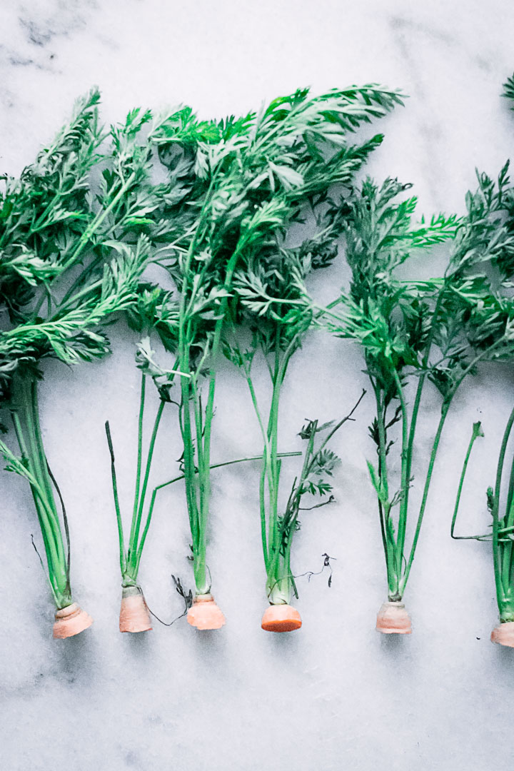 carrot tops and steps cut from the carrot root on a white table