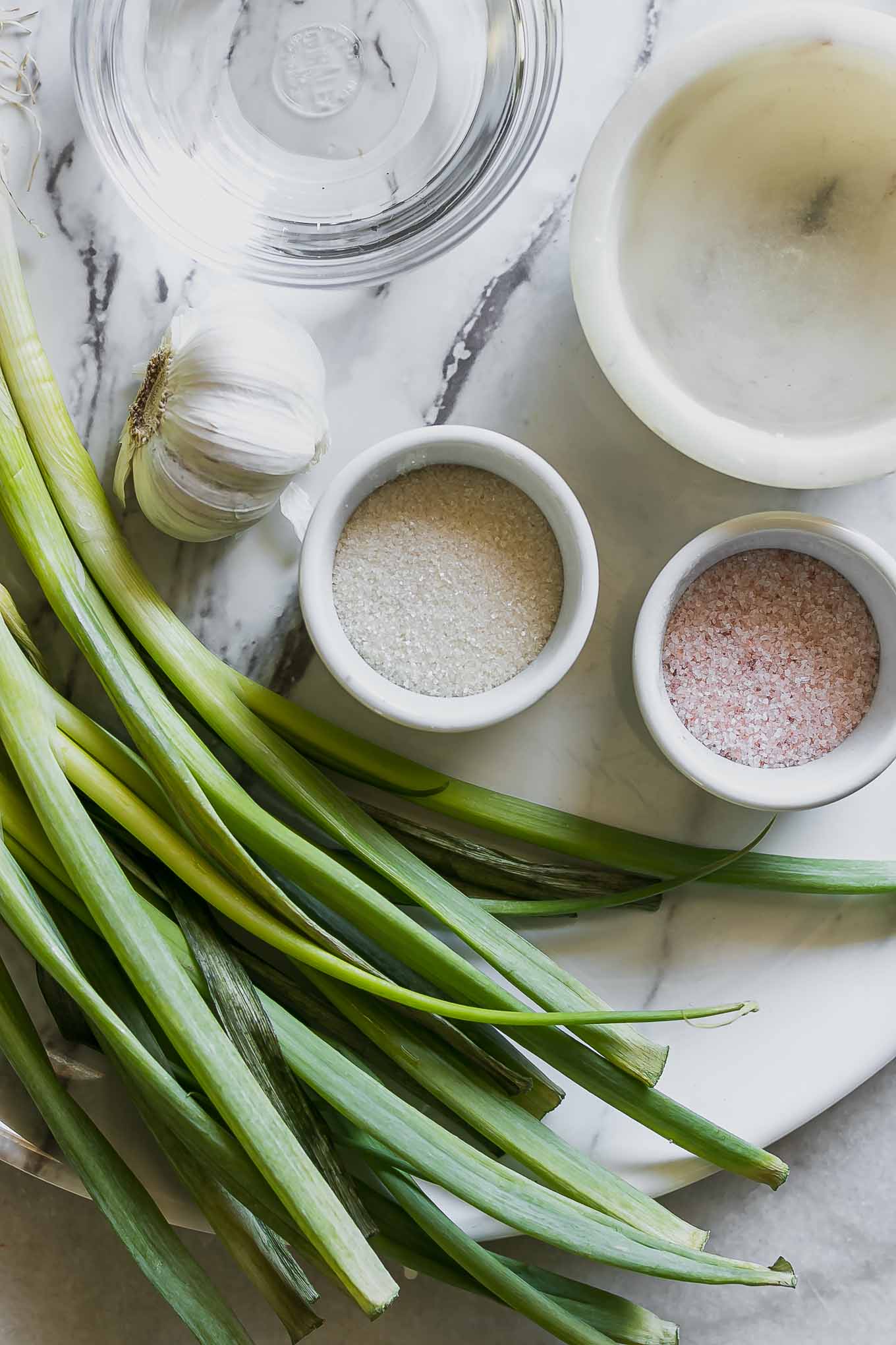 green onions, water, vinegar, salt, and sugar on a white table