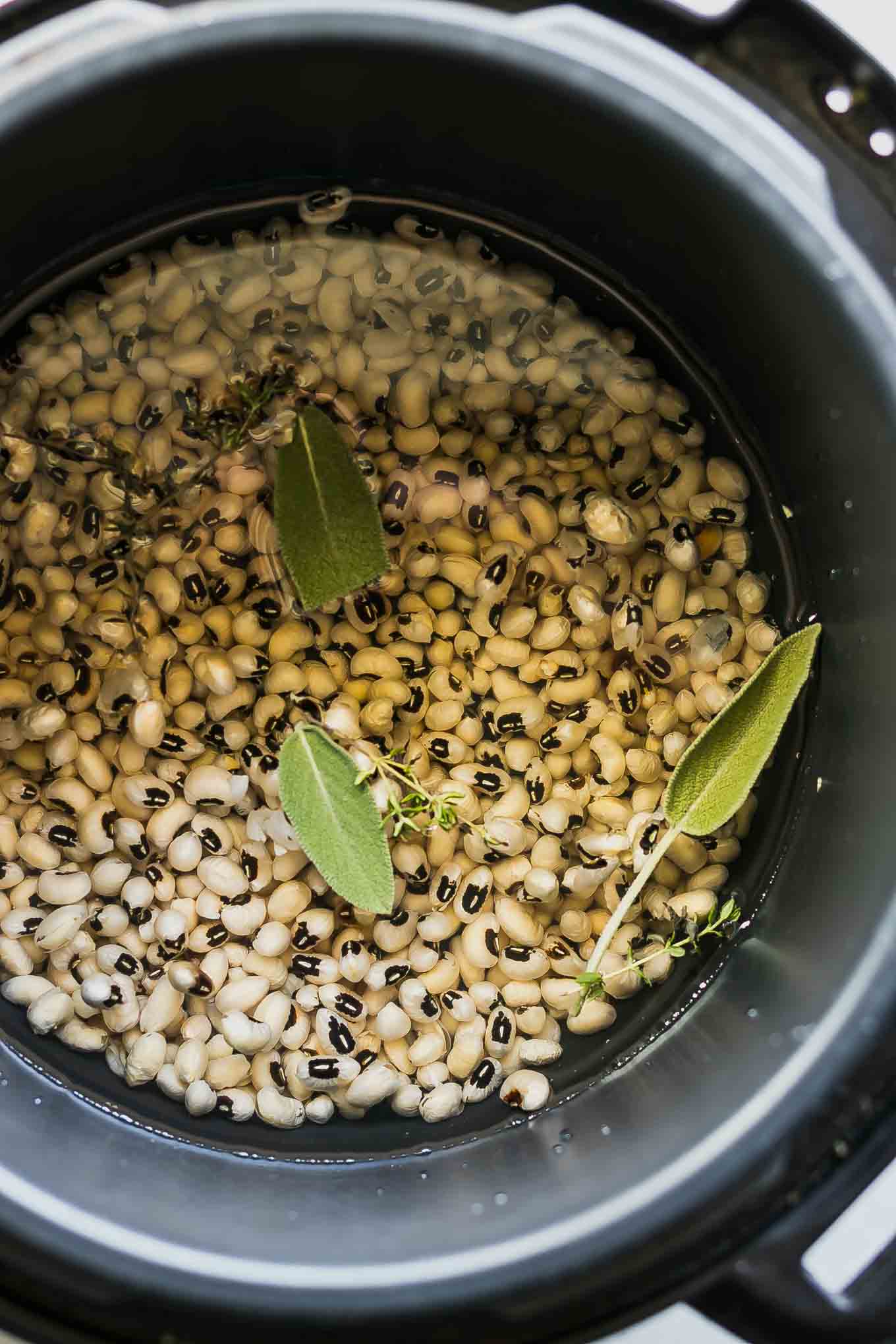 black eyed peas, water, and herbs inside an instant pot before cooking