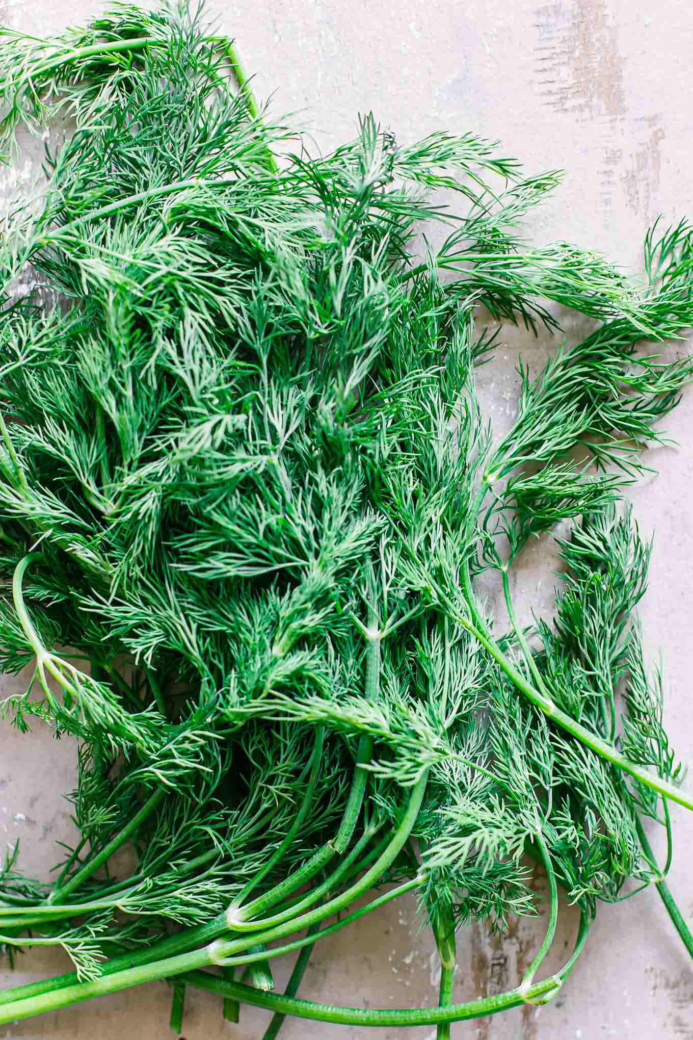fresh dill leaves on a wood table