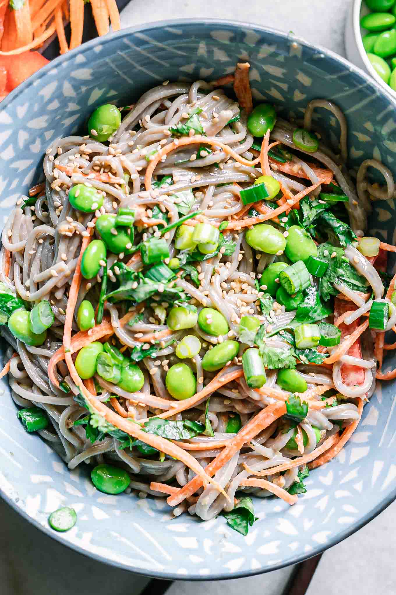 a close up photo of a bowl of soba noodle salad