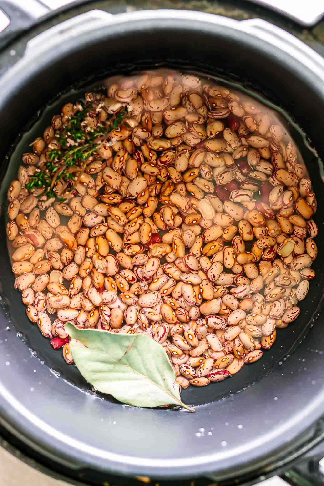 cranberry beans soaking in water inside an instant pot with fresh herbs before cooking