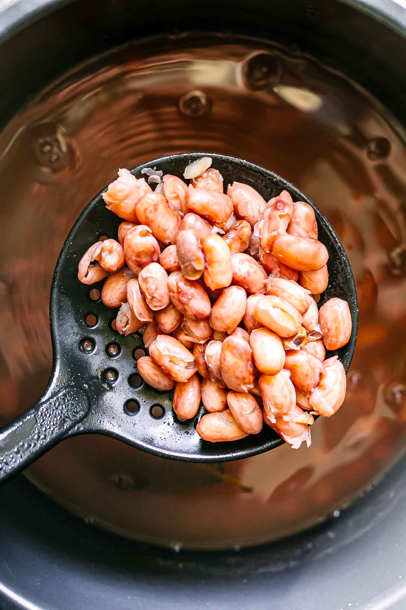 a spatula with cooked cranberry beans above a pressure cooker