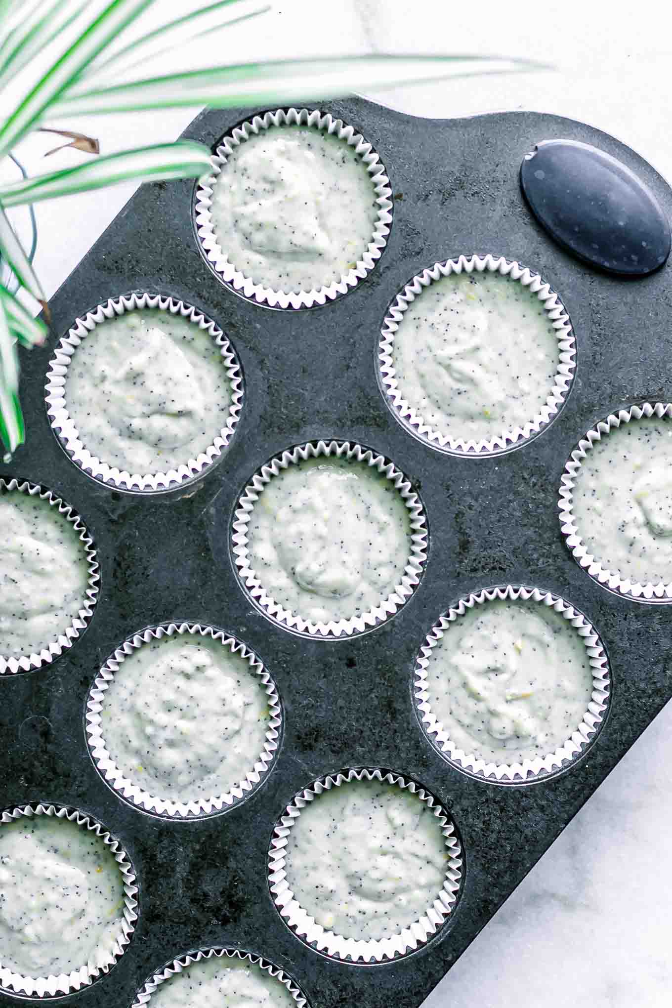 a muffin tin with lemon poppyseed batter inside muffin liners before baking