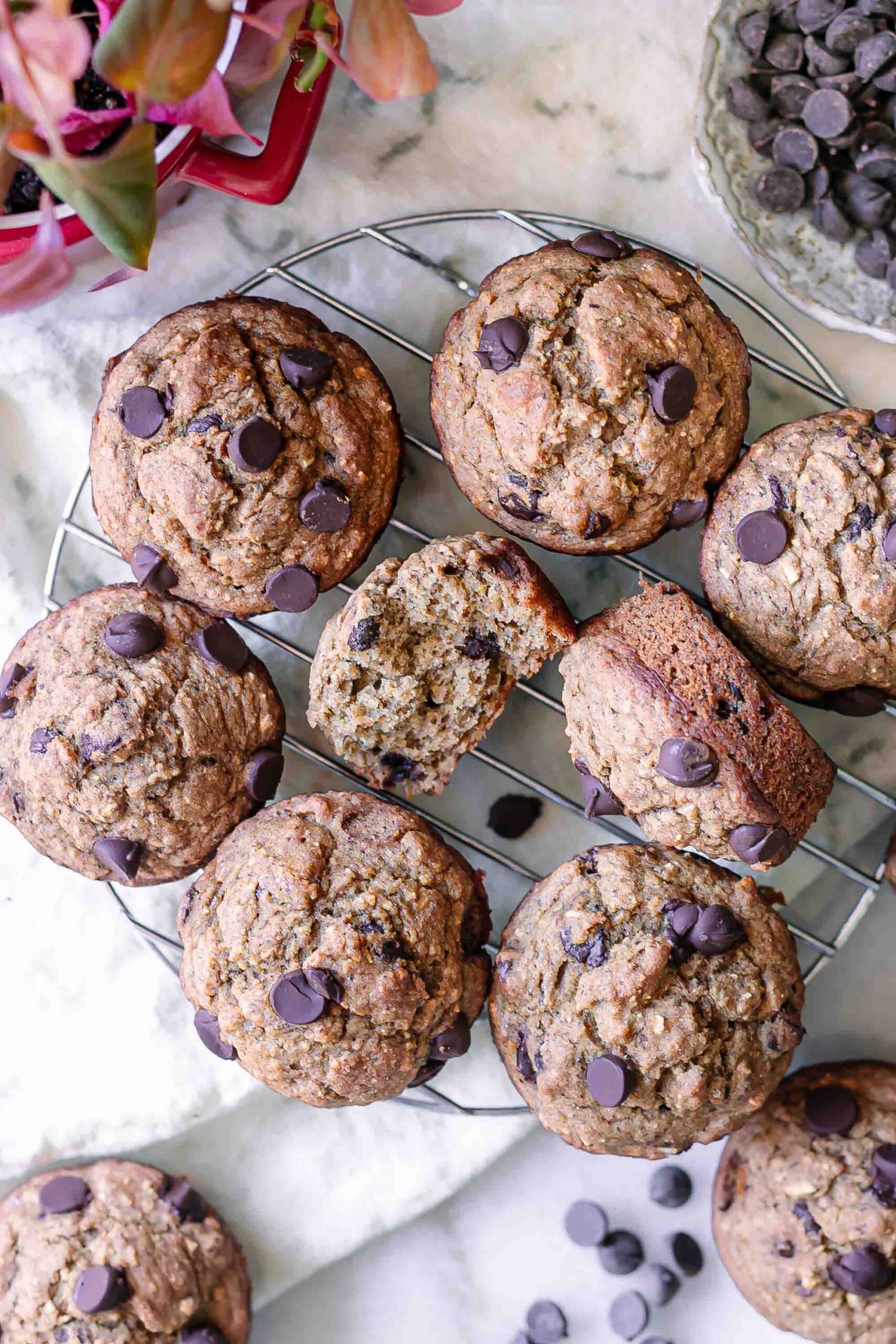 Chocolate Chip Banana Blender Muffins
